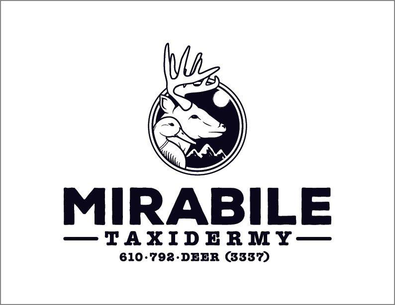 Mirabile Taxidermy