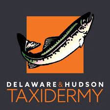 Delaware & Hudson Taxidermy