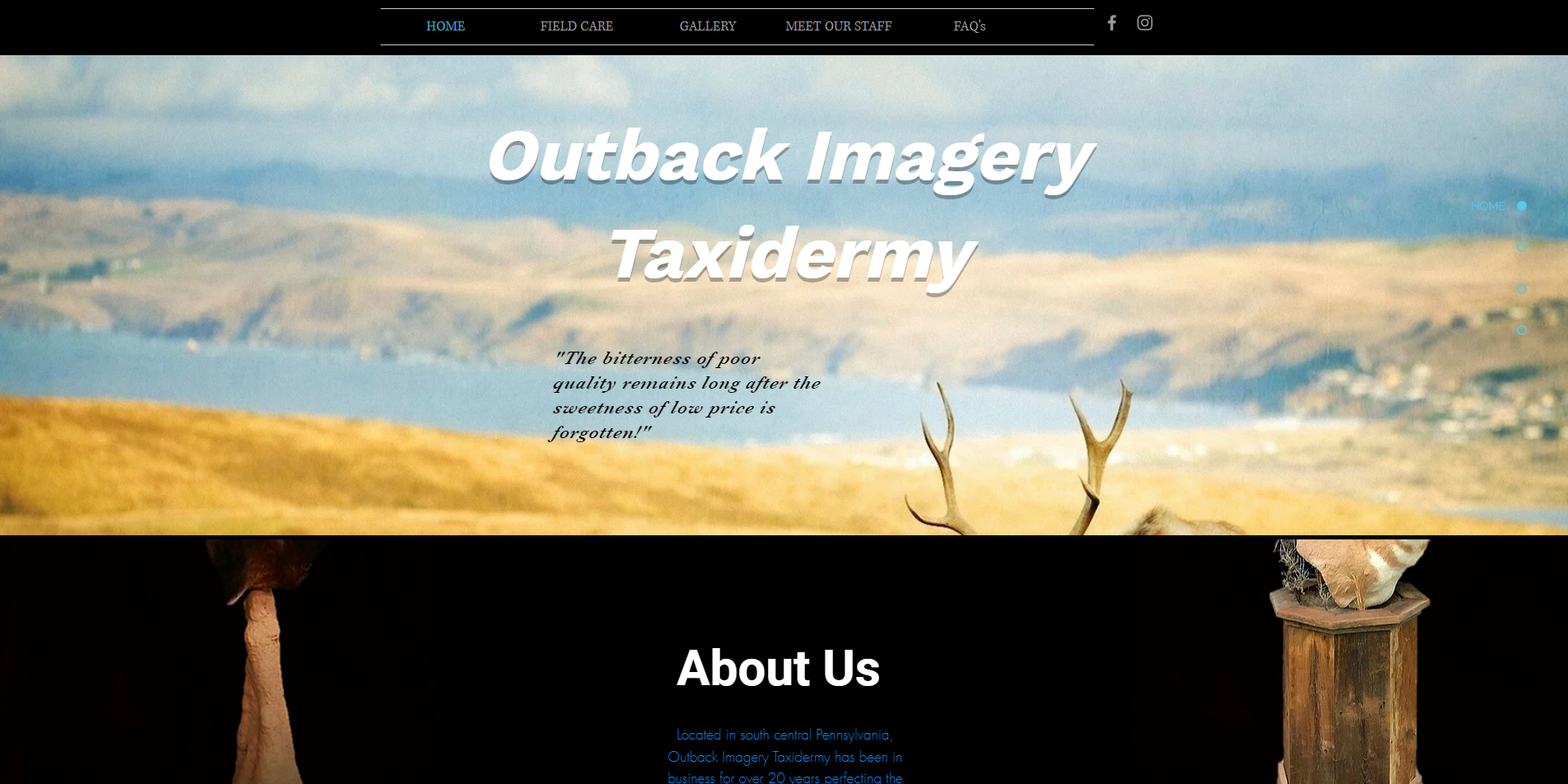 Outback Imagery Taxidermy